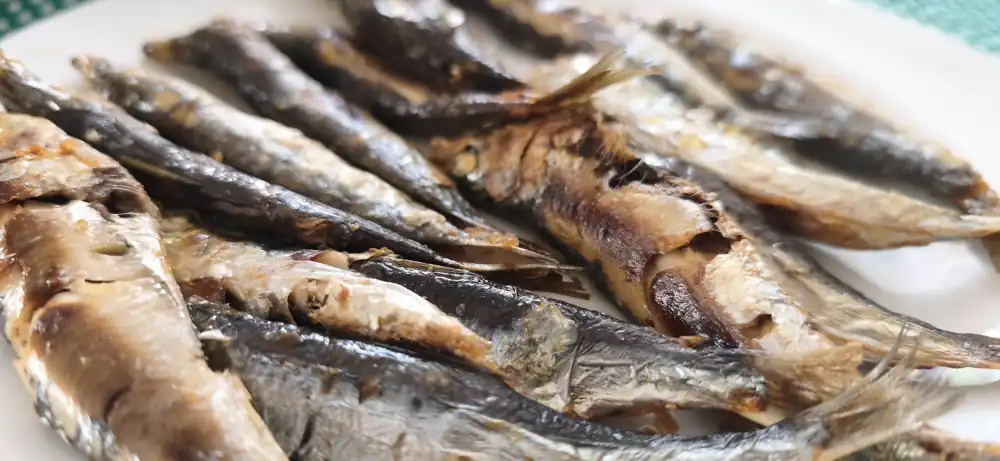 Sardinas espetos