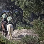 Andalucía impulsa la mayor modernización de su legislación ambiental del siglo XXI Andalucía impulsa la mayor modernización de su legislación ambiental del siglo XXI