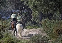 Andalucía impulsa la mayor modernización de su legislación ambiental del siglo XXI Andalucía impulsa la mayor modernización de su legislación ambiental del siglo XXI