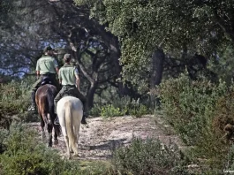 Andalucía impulsa la mayor modernización de su legislación ambiental del siglo XXI Andalucía impulsa la mayor modernización de su legislación ambiental del siglo XXI
