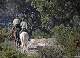 Andalucía impulsa la mayor modernización de su legislación ambiental del siglo XXI Andalucía impulsa la mayor modernización de su legislación ambiental del siglo XXI
