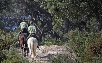 Andalucía impulsa la mayor modernización de su legislación ambiental del siglo XXI Andalucía impulsa la mayor modernización de su legislación ambiental del siglo XXI