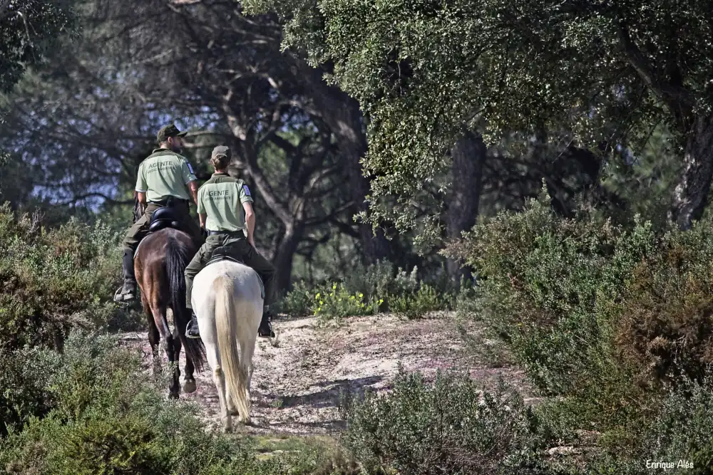 Andalucía impulsa la mayor modernización de su legislación ambiental del siglo XXI