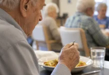 Las personas titulares de la Tarjeta Andalucía Junta 65 han disfrutado este primer semestre de más de 185.000 comidas a precio reducido Las personas titulares de la Tarjeta Andalucía Junta 65 han disfrutado este primer semestre de más de 185.000 comidas a precio reducido