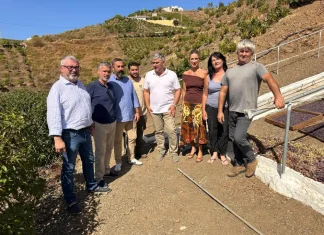 El PSOE exige a todas las administraciones ayudas urgentes ante las pérdidas de hasta el 70% en la uva moscatel de la Axarquía El PSOE exige a todas las administraciones ayudas urgentes ante las pérdidas de hasta el 70% en la uva moscatel de la Axarquía