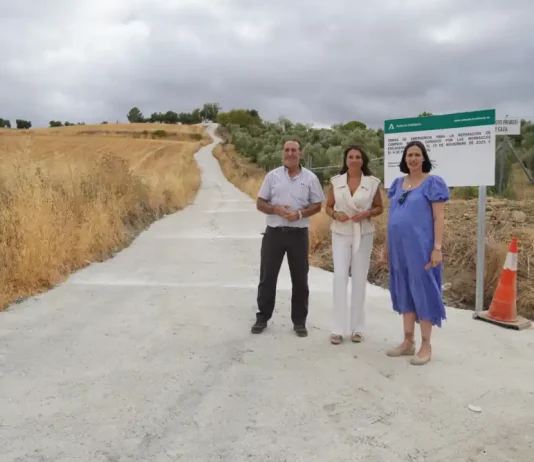 Las obras de emergencia de la Junta en caminos rurales de la provincia superan los 9,5 millones de euros y el 80% de ejecución Las obras de emergencia de la Junta en caminos rurales de la provincia superan los 9,5 millones de euros y el 80% de ejecución