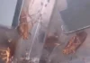 CSIF exige una solución definitiva a la plaga de cucarachas que sufre el centro de salud de Torre del Mar CSIF exige una solución definitiva a la plaga de cucarachas que sufre el centro de salud de Torre del Mar