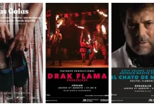Folklore internacional, flamenco y pasacalles marcan la agenda cultural de la Diputación de la semana que viene en la provincia Folklore internacional, flamenco y pasacalles marcan la agenda cultural de la Diputación de la semana que viene en la provincia
