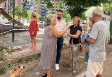 El PSOE tacha de desastre la gestión de medio ambiente sobre el arbolado de gran tamaño El PSOE tacha de desastre la gestión de medio ambiente sobre el arbolado de gran tamaño