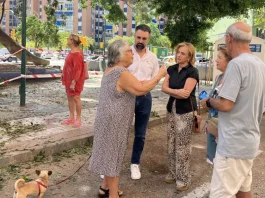El PSOE tacha de desastre la gestión de medio ambiente sobre el arbolado de gran tamaño El PSOE tacha de desastre la gestión de medio ambiente sobre el arbolado de gran tamaño