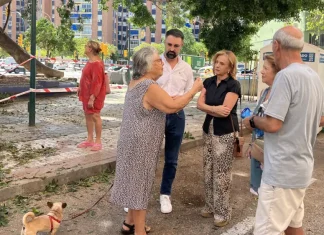 El PSOE tacha de desastre la gestión de medio ambiente sobre el arbolado de gran tamaño El PSOE tacha de desastre la gestión de medio ambiente sobre el arbolado de gran tamaño