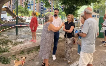 El PSOE tacha de desastre la gestión de medio ambiente sobre el arbolado de gran tamaño El PSOE tacha de desastre la gestión de medio ambiente sobre el arbolado de gran tamaño