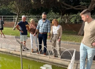 El PSOE pide a De la Torre que cese a la edil de Medio Ambiente y acometa actuaciones urgentes tras los reiterados cierres de playas El PSOE pide a De la Torre que cese a la edil de Medio Ambiente y acometa actuaciones urgentes tras los reiterados cierres de playas