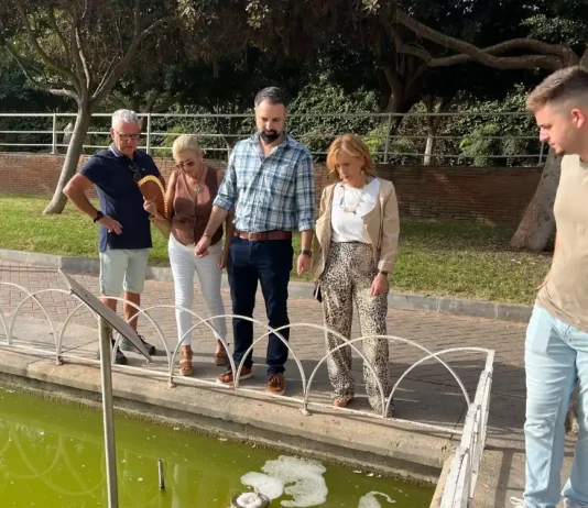 El PSOE pide a De la Torre que cese a la edil de Medio Ambiente y acometa actuaciones urgentes tras los reiterados cierres de playas El PSOE pide a De la Torre que cese a la edil de Medio Ambiente y acometa actuaciones urgentes tras los reiterados cierres de playas