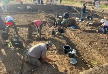 La Junta, la Universidad de Málaga y el Ayuntamiento retoman las excavaciones en el yacimiento fenicio del Cerro del Villar La Junta, la Universidad de Málaga y el Ayuntamiento retoman las excavaciones en el yacimiento fenicio del Cerro del Villar