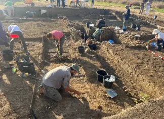 La Junta, la Universidad de Málaga y el Ayuntamiento retoman las excavaciones en el yacimiento fenicio del Cerro del Villar La Junta, la Universidad de Málaga y el Ayuntamiento retoman las excavaciones en el yacimiento fenicio del Cerro del Villar