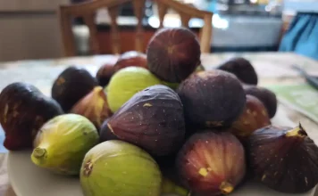 De higos a brevas: el dulce tesoro del verano que lleva miles de años acompañándonos Higos y brevas