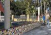 El Parque de Los Patos de Alhaurín de la Torre completa su nuevo muro perimetral El Parque de Los Patos de Alhaurín de la Torre completa su nuevo muro perimetral