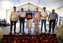 Un tomate Huevo de Toro de Coín alcanza los 20.000 euros en su tradicional subasta solidaria Un tomate Huevo de Toro de Coín alcanza los 20.000 euros en su tradicional subasta solidaria