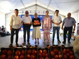 Un tomate Huevo de Toro de Coín alcanza los 20.000 euros en su tradicional subasta solidaria Un tomate Huevo de Toro de Coín alcanza los 20.000 euros en su tradicional subasta solidaria