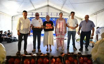 Un tomate Huevo de Toro de Coín alcanza los 20.000 euros en su tradicional subasta solidaria Un tomate Huevo de Toro de Coín alcanza los 20.000 euros en su tradicional subasta solidaria