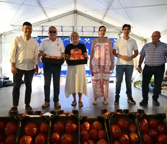 Un tomate Huevo de Toro de Coín alcanza los 20.000 euros en su tradicional subasta solidaria Un tomate Huevo de Toro de Coín alcanza los 20.000 euros en su tradicional subasta solidaria