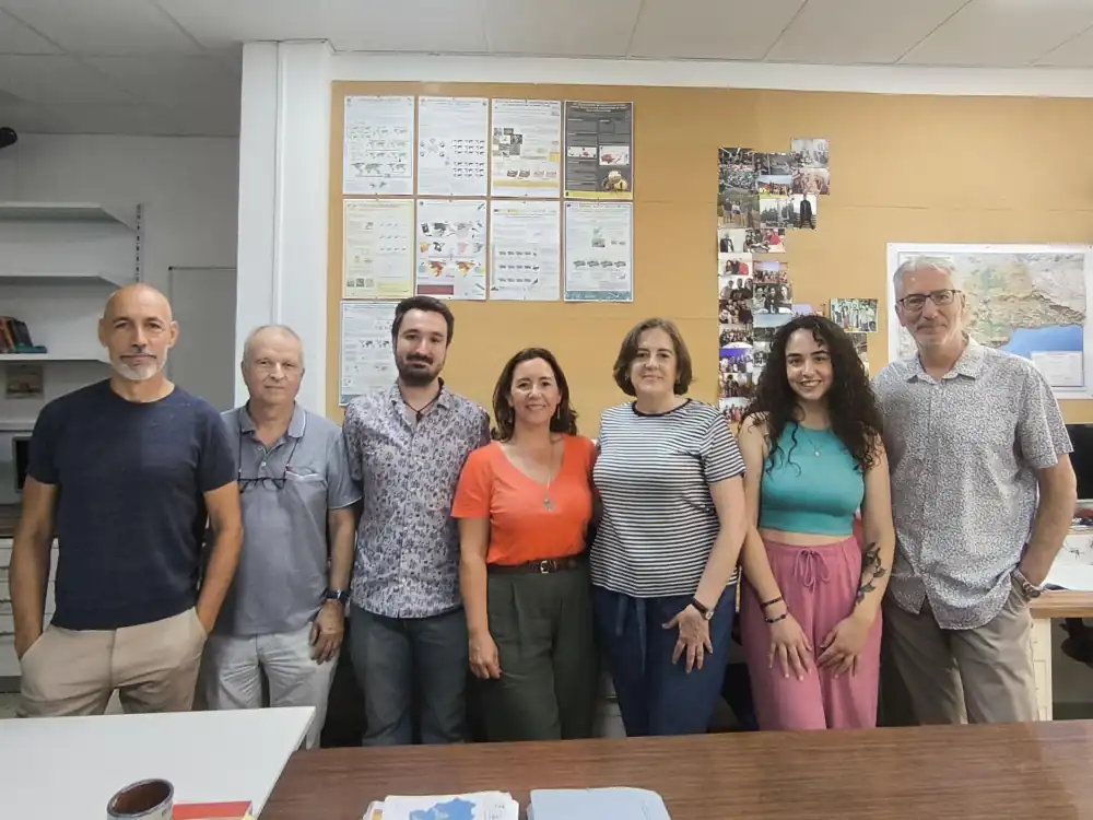 Demuestran que las plantas solares sirven como refugio y zona de caza para aves