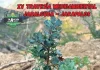 Travesía Jabalcuza-Jarapalos 2026: 48 kilómetros este sábado Travesía Jabalcuza-Jarapalos 2026: 48 kilómetros este sábado