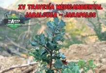 Travesía Jabalcuza-Jarapalos 2026: 48 kilómetros este sábado Travesía Jabalcuza-Jarapalos 2026: 48 kilómetros este sábado