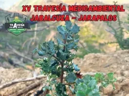 Travesía Jabalcuza-Jarapalos 2026: 48 kilómetros este sábado Travesía Jabalcuza-Jarapalos 2026: 48 kilómetros este sábado
