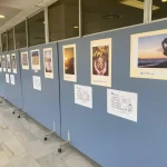 El Clínico de Málaga convoca la IX edición del concurso fotográfico Miguel Ángel Rubio El Clínico de Málaga convoca la IX edición del concurso fotográfico Miguel Ángel Rubio