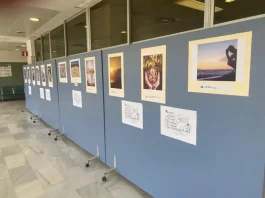 El Clínico de Málaga convoca la IX edición del concurso fotográfico Miguel Ángel Rubio El Clínico de Málaga convoca la IX edición del concurso fotográfico Miguel Ángel Rubio