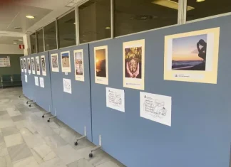 El Clínico de Málaga convoca la IX edición del concurso fotográfico Miguel Ángel Rubio El Clínico de Málaga convoca la IX edición del concurso fotográfico Miguel Ángel Rubio