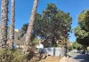 Las obras del Metro de Málaga afrontan el trasplante de un ficus singular en avenida Arroyo de los Ángeles Las obras del Metro de Málaga afrontan el trasplante de un ficus singular en avenida Arroyo de los Ángeles