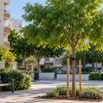 Málaga plantará un nuevo árbol en La Paz tras la tala del ficus Recreacion realizada por IA