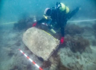 El IAPH inicia una intervención arqueológica en el pecio subacuático de Cabopino en Marbella El IAPH inicia una intervención arqueológica en el pecio subacuático de Cabopino en Marbella