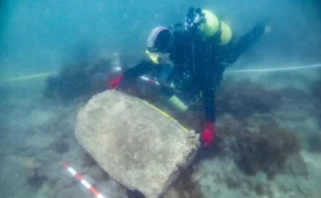 El IAPH inicia una intervención arqueológica en el pecio subacuático de Cabopino en Marbella El IAPH inicia una intervención arqueológica en el pecio subacuático de Cabopino en Marbella