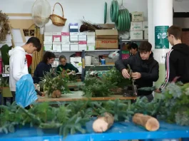 Educación abre el plazo de solicitudes para cubrir más de 8.100 plazas vacantes de FP Educación abre el plazo de solicitudes para cubrir más de 8.100 plazas vacantes de FP