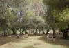 La Diputación continúa la mejora del entorno del pantano de La Viñuela con una inversión de 619.000 euros en el área recreativa de Las Mayoralas La Diputación continúa la mejora del entorno del pantano de La Viñuela con una inversión de 619.000 euros en el área recreativa de Las Mayoralas