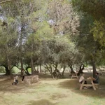 La Diputación continúa la mejora del entorno del pantano de La Viñuela con una inversión de 619.000 euros en el área recreativa de Las Mayoralas La Diputación continúa la mejora del entorno del pantano de La Viñuela con una inversión de 619.000 euros en el área recreativa de Las Mayoralas