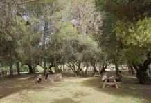 La Diputación continúa la mejora del entorno del pantano de La Viñuela con una inversión de 619.000 euros en el área recreativa de Las Mayoralas La Diputación continúa la mejora del entorno del pantano de La Viñuela con una inversión de 619.000 euros en el área recreativa de Las Mayoralas