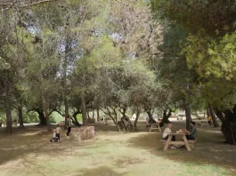 La Diputación continúa la mejora del entorno del pantano de La Viñuela con una inversión de 619.000 euros en el área recreativa de Las Mayoralas La Diputación continúa la mejora del entorno del pantano de La Viñuela con una inversión de 619.000 euros en el área recreativa de Las Mayoralas