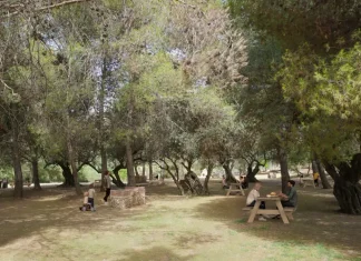 La Diputación continúa la mejora del entorno del pantano de La Viñuela con una inversión de 619.000 euros en el área recreativa de Las Mayoralas La Diputación continúa la mejora del entorno del pantano de La Viñuela con una inversión de 619.000 euros en el área recreativa de Las Mayoralas