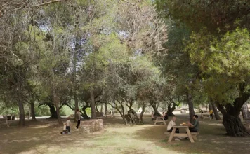 La Diputación continúa la mejora del entorno del pantano de La Viñuela con una inversión de 619.000 euros en el área recreativa de Las Mayoralas La Diputación continúa la mejora del entorno del pantano de La Viñuela con una inversión de 619.000 euros en el área recreativa de Las Mayoralas
