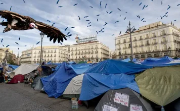 Maricarmen y los tontos buitre