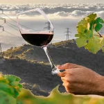 Barranco Oscuro y la especulación energética Barranco Oscuro y la especulación energética