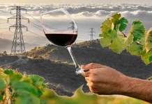Barranco Oscuro y la especulación energética Barranco Oscuro y la especulación energética